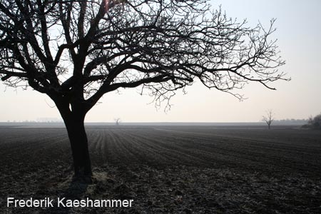 Picture 180